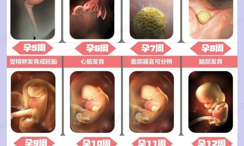 炒栀子有毒吗-炒栀子中药副作用有哪些专区_炒栀子有毒吗专区_炒栀子中药副作用网