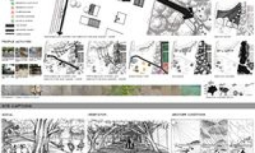 炒栀子中药副作用有哪些专区_炒栀子有毒吗专区_炒栀子中药副作用网